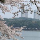 한머천다이징 | [서울디지털대학교] 비주얼머천다이징 과제 제출 후기