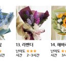 모루 꽃다발 이미지