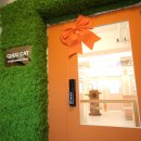 강남 고양이 호텔 미용 츄캣 이미지