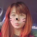 대한여가운동협회 이미지