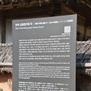 사비길 | 2023.10.28. 부여사비길 - 까친연 걷기 모임 - 회색빛바람의전사님 공지