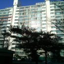 분당-299 이미지