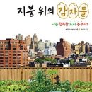 행복한감자 이미지