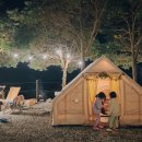 진도 카멜리아 힐즈 오토캠핑장 이미지