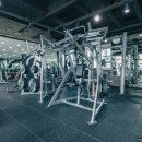 고구마 휘트니스 이미지