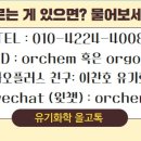 올고톡