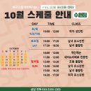 프로발리볼센터 이미지