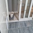 중문덴탈 이미지