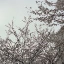 기린초등학교 | 하늘꽃화원 - 인후동 꽃집 전주 꽃배달