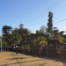 키즈키득펜션 | 제주 키즈키득 펜션