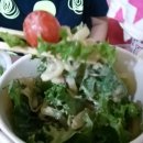 이레네 강아지 이미지