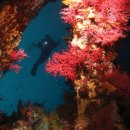 인구 리조트 이미지