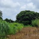 서귀포지방법원 이미지