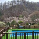 강촌프로방스 이미지