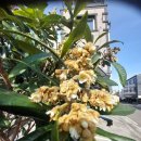 목동천길 이미지