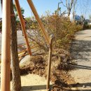 여주-0999 이미지