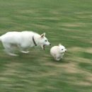 그래그래 이미지