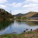 흑석 노루벌길 이미지