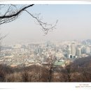 우면산3-8 이미지