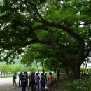 서해랑길 고창42코스(심원면행정복지센터~선운산관광안내소): 선운산을 만끽하고 추억을 남길 수 있는 길