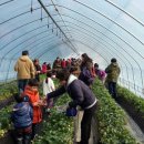 두루농장 이미지