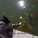 강태공민박 이미지