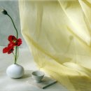 비비데칼