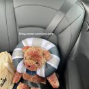 삼광주유소 이미지