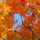 풍경약국 이미지