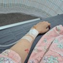 더블유치과병원 | 임신준비 - 1년반동안의 자연임신 시도, 더블유 자궁경 수술 후기