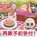 판차님 복숭아 인형 같이 살 푸딩이 구해요 이미지