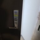 블랙헤어라인