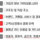 비즈주