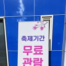 1004섬수석미술관 | 자은도 1004섬 뮤지엄파크(수석미술관, 조개박물관, 자연휴양림, 목련축제, 양산해변)