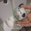 곰맥 | [오사카여행] 파르코백화점 나가노마켓 농담곰 굿즈 추천!
