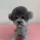 러브몽먼트 이미지