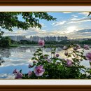 장골로가로수 이미지