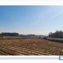 신영1리마을회관 이미지