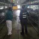 김천혁신농업협동조합 이미지