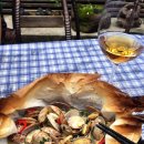 한가한오후 이미지