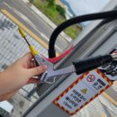 스테이 하구 이미지