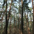 원효암 칠성각 이미지