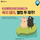 웰컴제주