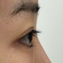 호암플라자 | [브로우하지] 죽전 꼼꼼하고 섬세하게 맞춤형 속눈썹펌 잘하는 곳 내돈내산 솔직후기