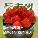 씨유오송생명과학점 | 스초생보다 맛있나? 투썸 신메뉴 두초생 현장구매 후기 청주오송생명과학단지점