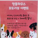 멍풀하우스 이미지