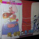 자연만세 이미지