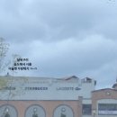 아이언브로 네이버블로그