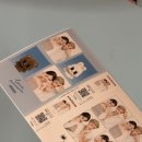 새연사