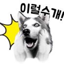 종로납작만두